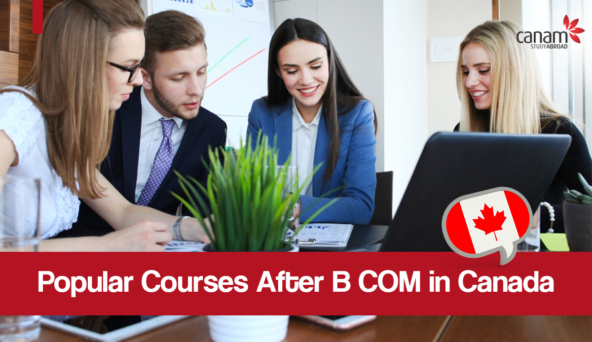 courses-after-12th-commerce-2022-best-career-option-after-12th