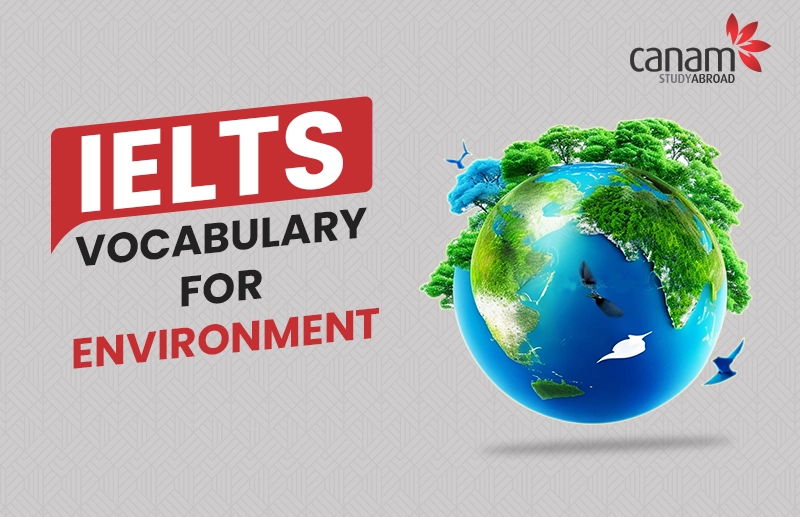 Enhance Your IELTS Vocabulary for Environment