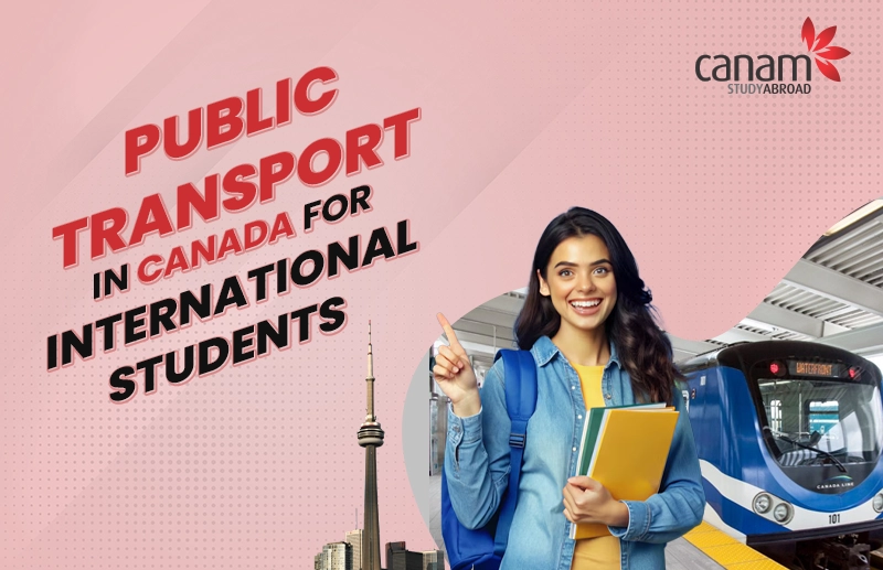 Public Transportation in Canada for International students