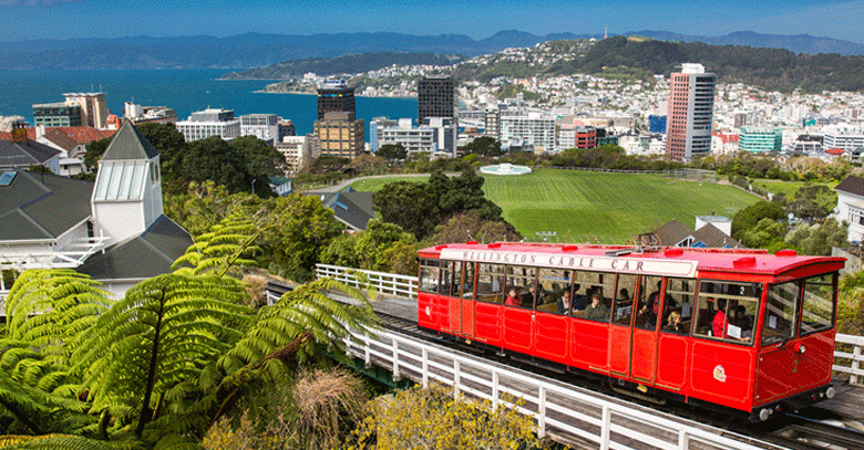 Top Cities To Study In NEW ZEALAND | Canam